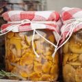 Eenvoudige stapsgewijze recepten om thuis champignons in potten voor de winter te zouten