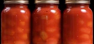 TOP 15 recepten voor het bewaren van tomaten in tomatenpuree voor de winter