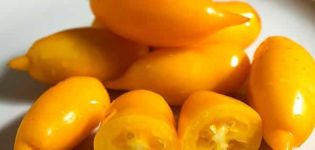 Beskrivning av sortens tomat Golden Canary och dess egenskaper