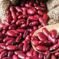 Výhody a poškodenia červenej fazule pre ľudské telo