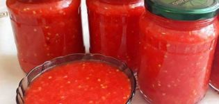 TOP 8 eenvoudige recepten voor het thuis koken van tomaten voor de winter