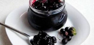 Recept för röd och svart vinbärsylt med banan för vintern