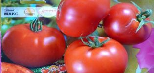 Kokių veislių pomidorai geriausiai auginami Samaros regione