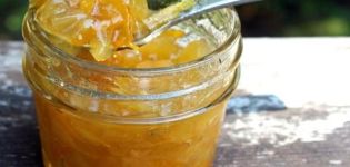 5 bästa recept för framställning av zucchini sylt med torkade aprikoser