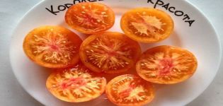 Beskrivning av tomatsorten Kunglig skönhet, dess egenskaper och produktivitet