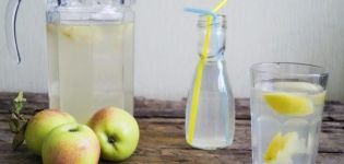 TOP 2 Rezepte für den Winter von Apfel-Zitronen-Kompott