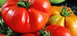Descripción de la variedad de tomate Red Buffalo, características de cultivo y rendimiento.
