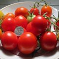 Egenskaper och beskrivning av tomatsorten Schelkovsky tidigt