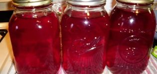 Ett enkelt recept för att göra lingonberrykompott för vintern
