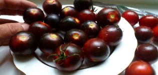 Juodųjų vyšnių pomidorų veislės charakteristikos ir aprašymas, derlius