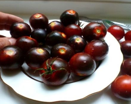 Charakteristika a popis odrůdy rajčat Black Cherry, výnos