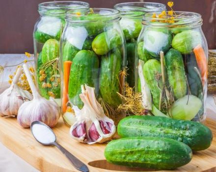 Description of the best step-by-step recipes for spicy and pickled cucumbers for the winter