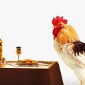 Lepšie kŕmiť kurčatá doma tak, aby veľa nosili