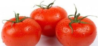 Pomidorų veislės sodininko svajonė, jos derlingumas ir apibūdinimas