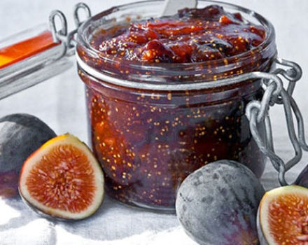 Recept na výrobu figového džemu doma na zimu