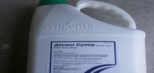 Instructies voor het gebruik van herbicide Dialen Super, werkingsprincipe en consumptietarieven