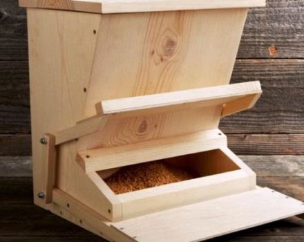 How to make an automatic chicken feeder step by step