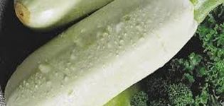 Popis odrůdy cukety Rolik, vlastnosti kultivace a péče