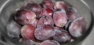 Is it possible to freeze grapes for the winter and TOP 4 ways at home