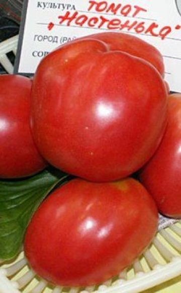 Pomidorų veislės Nastenka charakteristika ir aprašymas, derlius