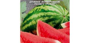 A Foton görögdinnye fajtájának leírása, a termesztés jellemzői és finomságai, hozam