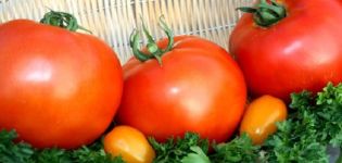 Pomidorų veislės riebalai aprašymas, sodinimas ir priežiūra