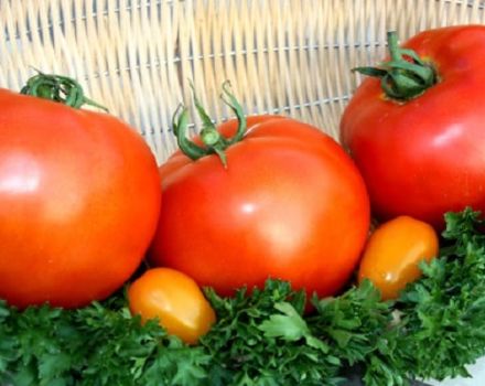 Description de la variété de tomate Graisse, sa plantation et ses soins
