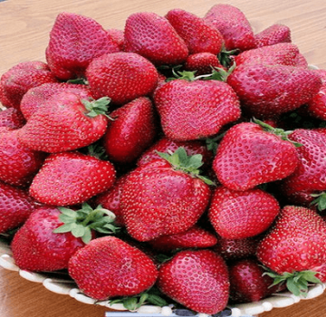 Description and characteristics of the strawberry variety Take, planting and care