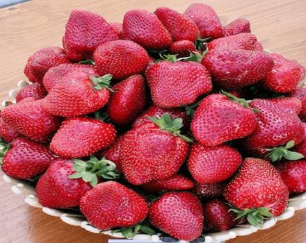 Description and characteristics of the strawberry variety Take, planting and care