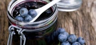 TOP 4-recept för framställning av blåbärsylt i en långsam spis