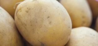 Popis odrůdy brambor Meteor, vlastnosti pěstování a péče