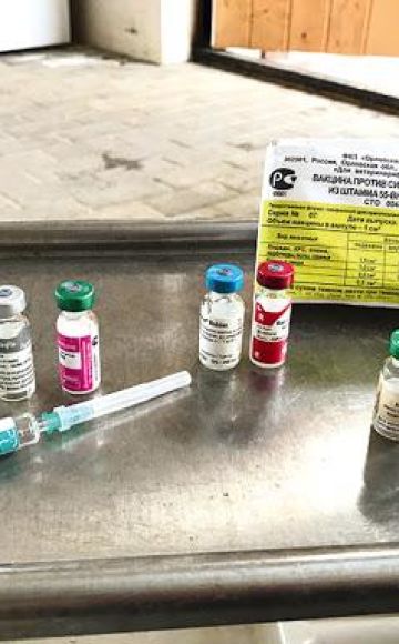 Instrucción para la vacuna contra la rinoneumonía en caballos y su composición.