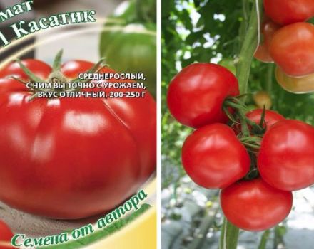 Descripción de la variedad de tomate Kasatik y las características de su cultivo.