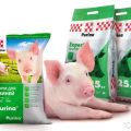 Fördelar och sammansättning av Purine för svin, hur man ger det och hållbarhet