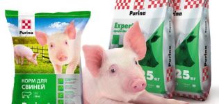 Beneficis i composició de Purine per als porcs, com donar-los i conservar la seva vida útil
