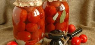TOP 10 receptov na nakladané paradajky s aspirínom na zimu na 1 - 3 litrovú nádobu