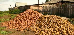 Beskrivningar och egenskaper för de bästa potatisvarorna och klassificeringen av 2020