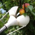 Olika enheter för att plocka äpplen och hur man gör det själv