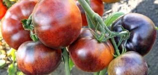 Descripción de la variedad de tomate Ivan da Marya.