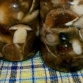 Jak solit a nakládat osiky houby, recepty na zimu ve sklenicích