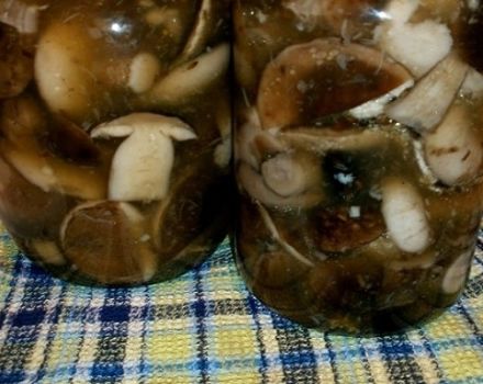 Hur man saltar och knipar aspsvampar, recept för vintern i burkar