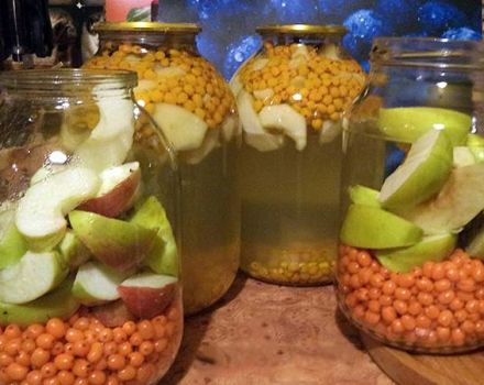4 beste recepten voor het maken van appel- en duindoorncompote voor de winter