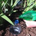 Csináld magad csepp öntözés az uborka számára műanyag palackokból