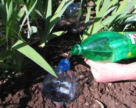 Diy lašinamas laistymas agurkams iš plastikinių butelių