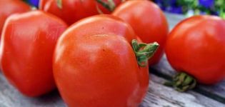 Pomidorų veislės „Atol“ aprašymas, jo savybės ir derlius