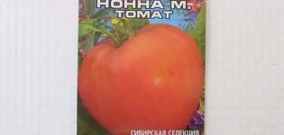 Beskrivning av tomatsorten Nonna m, dess utbyte och odling