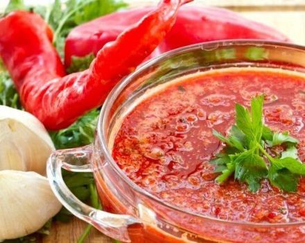 12 geriausių receptų, kaip gaminti papriką ir pomidorus žiemai
