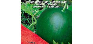 Arbūzų veislės Sibiro žiburiai aprašymas, auginimo technologija, sodinimas ir priežiūra