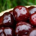 Beskrivning av sorter av svart körsbär Morel, Rossoshanskaya och Shokoladnitsa, plantering och skötsel