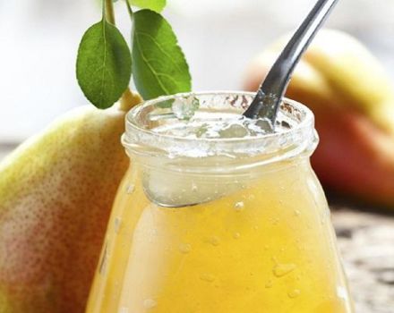 TOP 12 enkla recept för att göra pärongelé för vintern